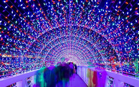 A guide to winter's most magical light displays